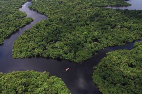 Vista aérea do Iberostar Grand Amazon navegando entre a floresta amazônica